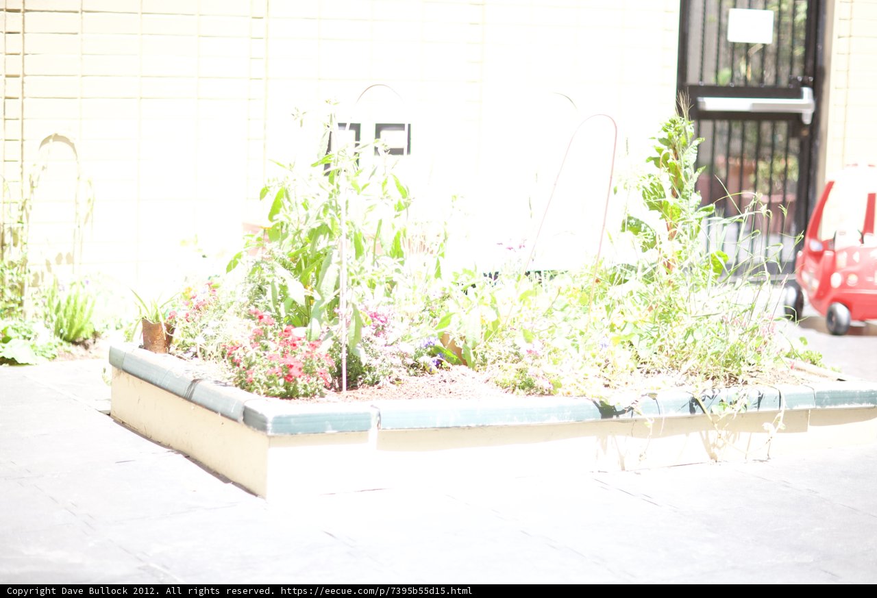Serene Garden Delight