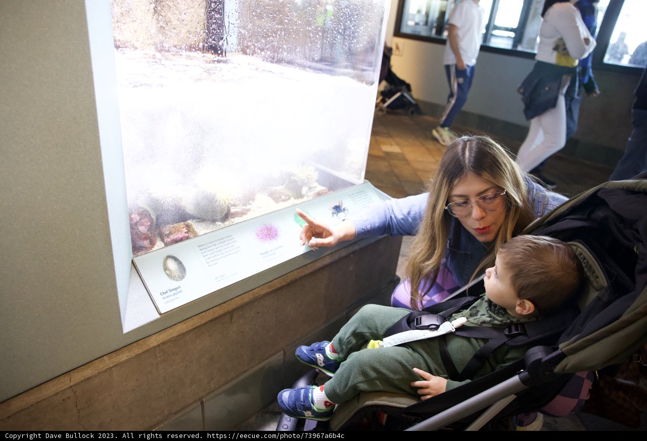 Exploring Ocean Wonders