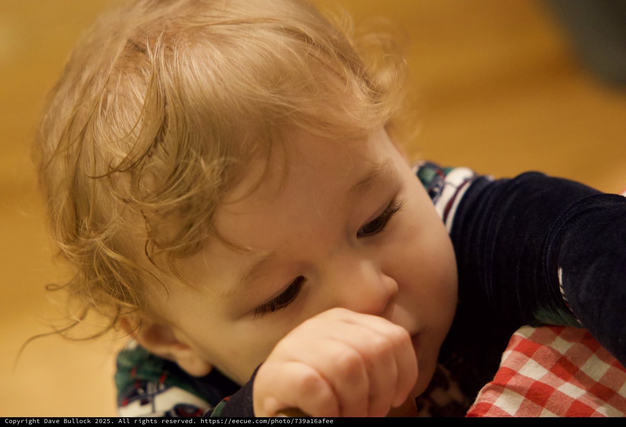 Young Child in Quiet Contemplation on Christmas Morning