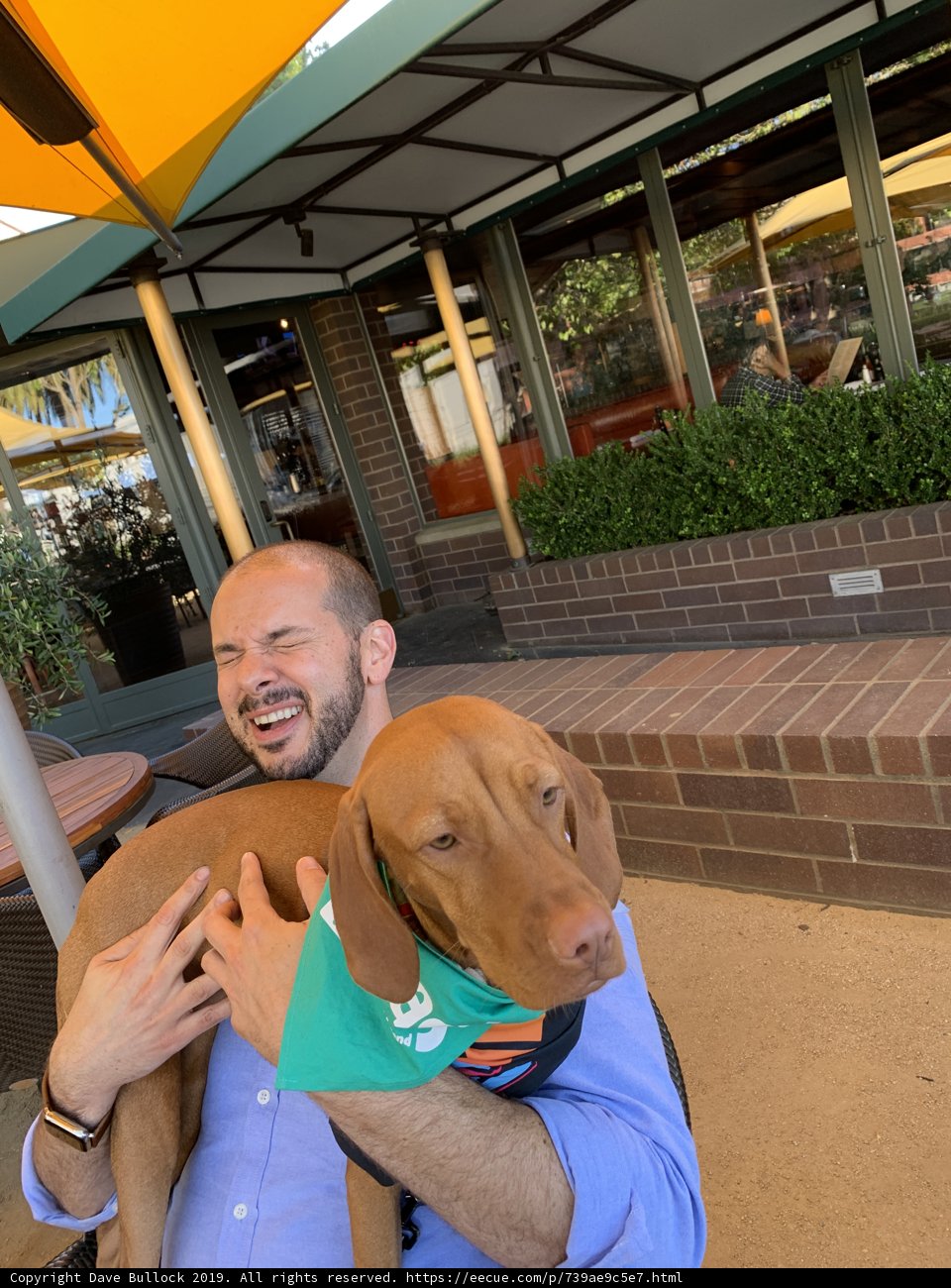 Dining with My Furry Friend