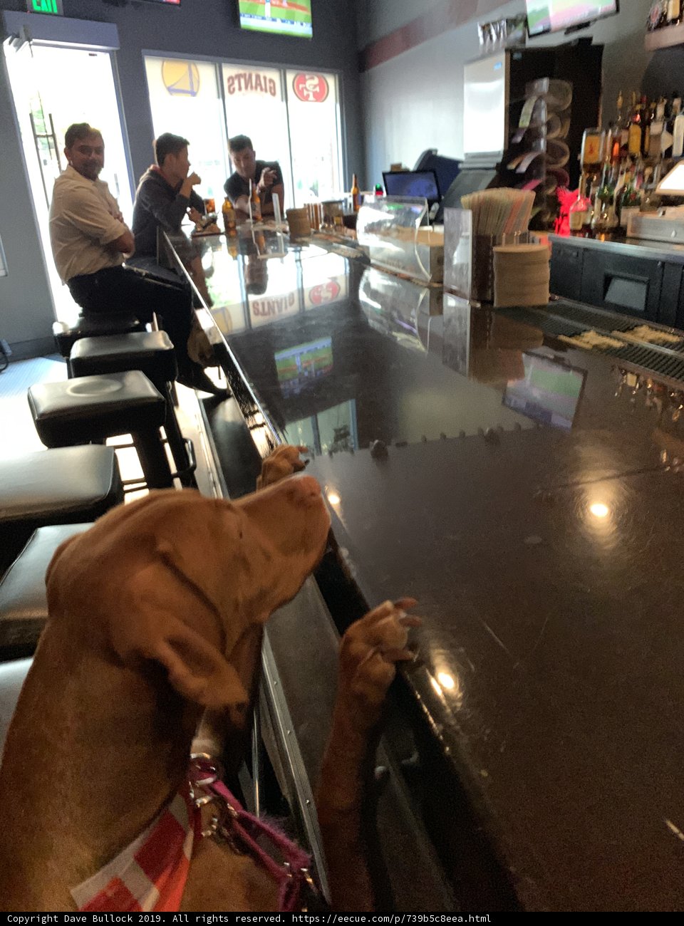 Man's Best Drinking Buddy