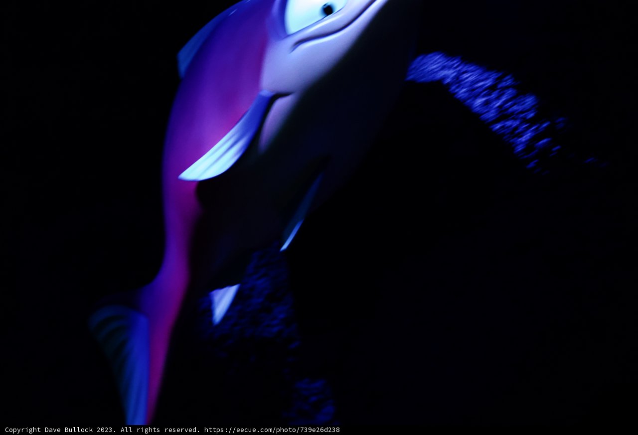 Mysterious Beauty of the Deep Sea