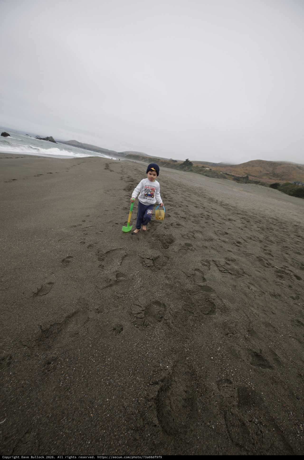 Little Explorer Walks the Misty California Coastline