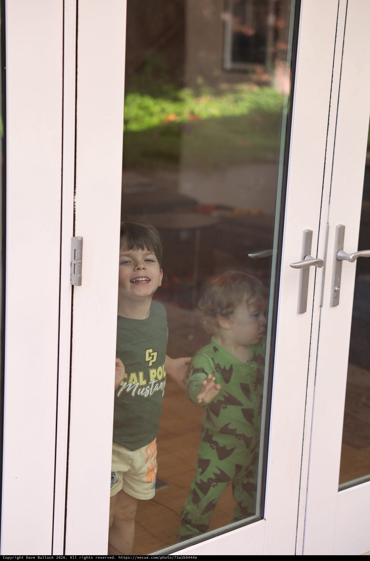 Two Young Brothers Looking Through Glass Door