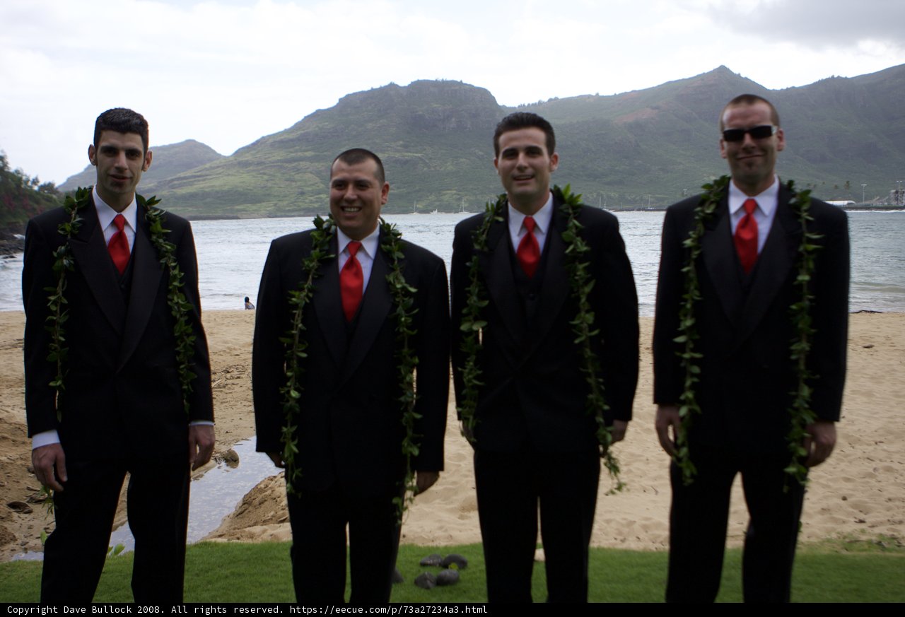 The Suave Squad in Hawaii