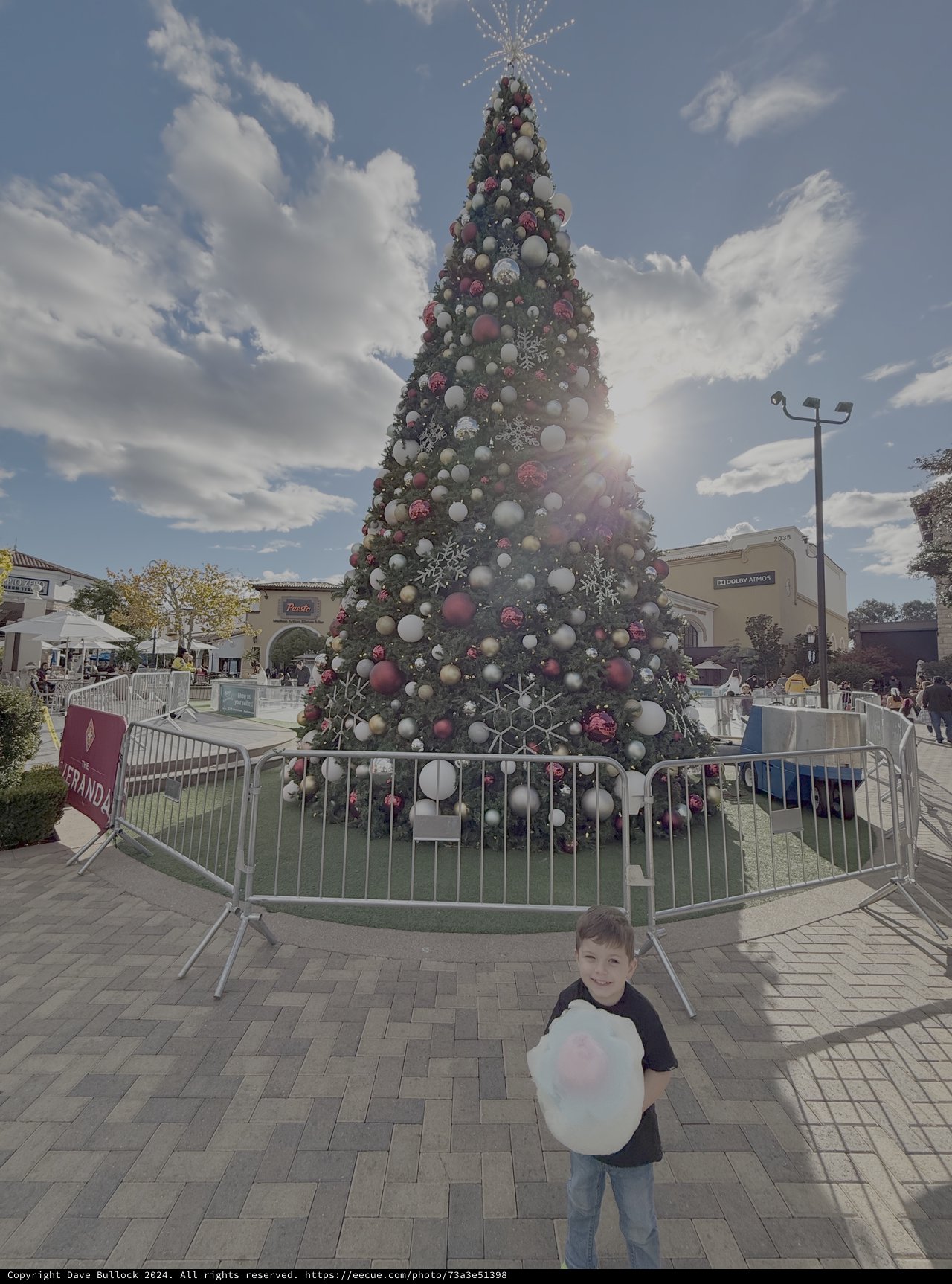 Child with Cotton Candy at Christmas Tree Display