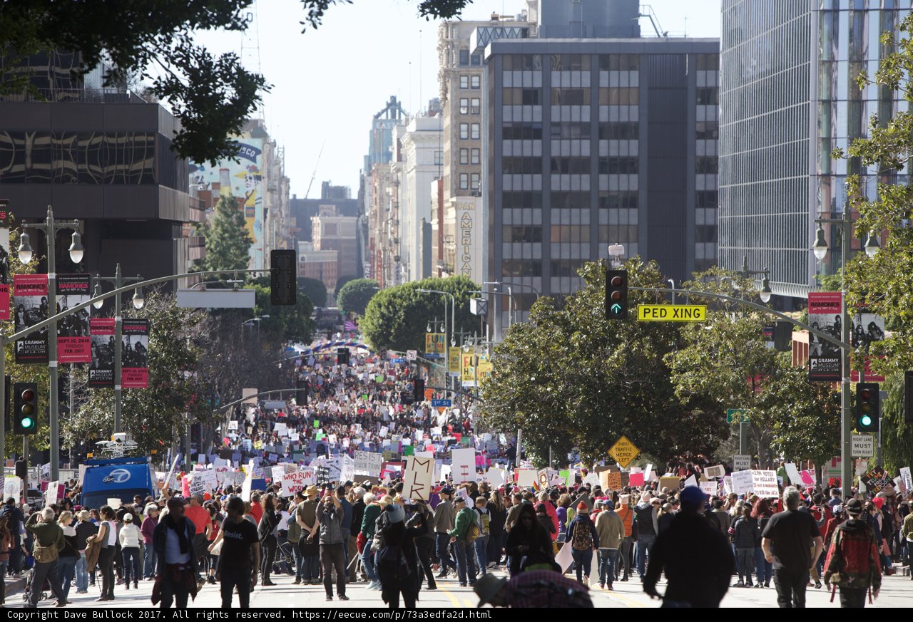 Women's March in Metropolis