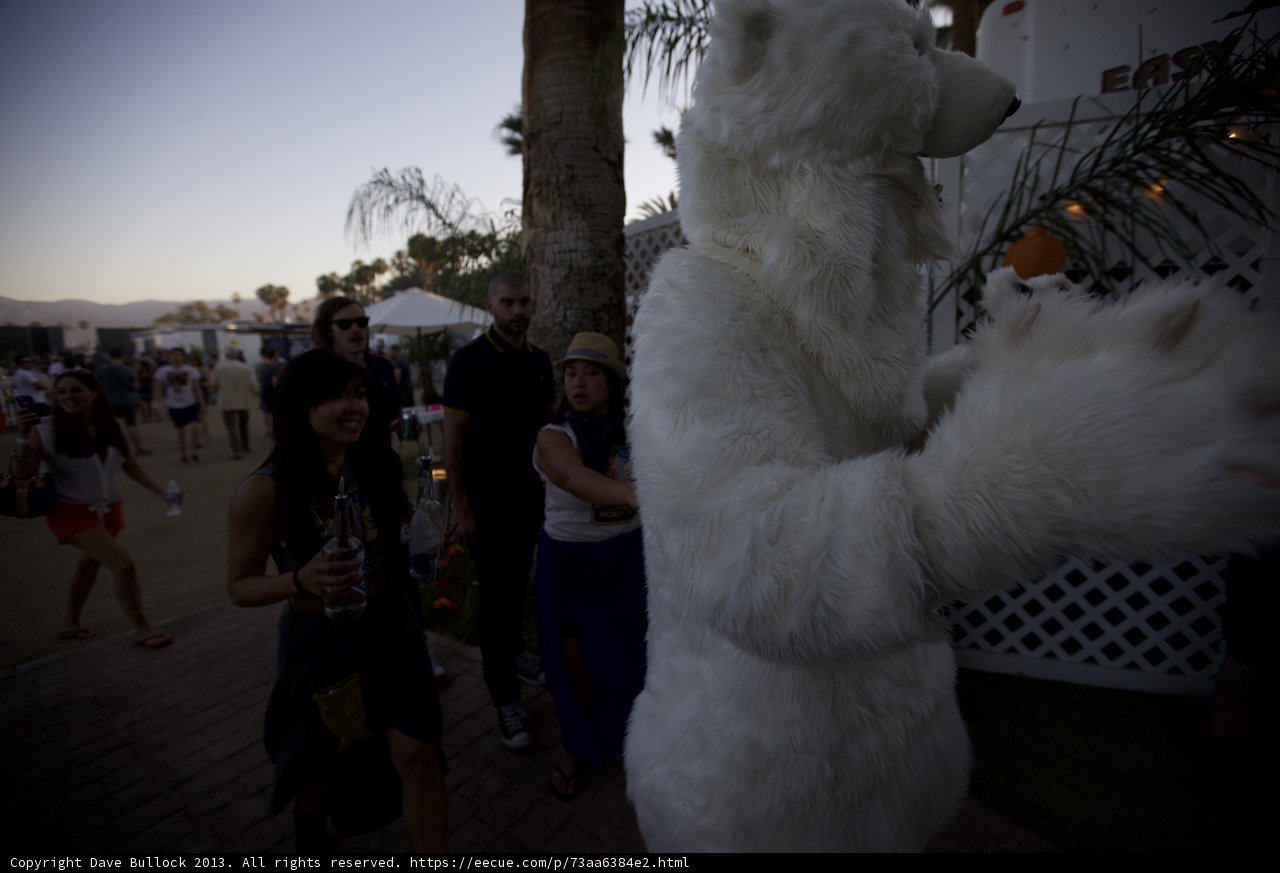 Man in Polar Bear Costume at Coachella