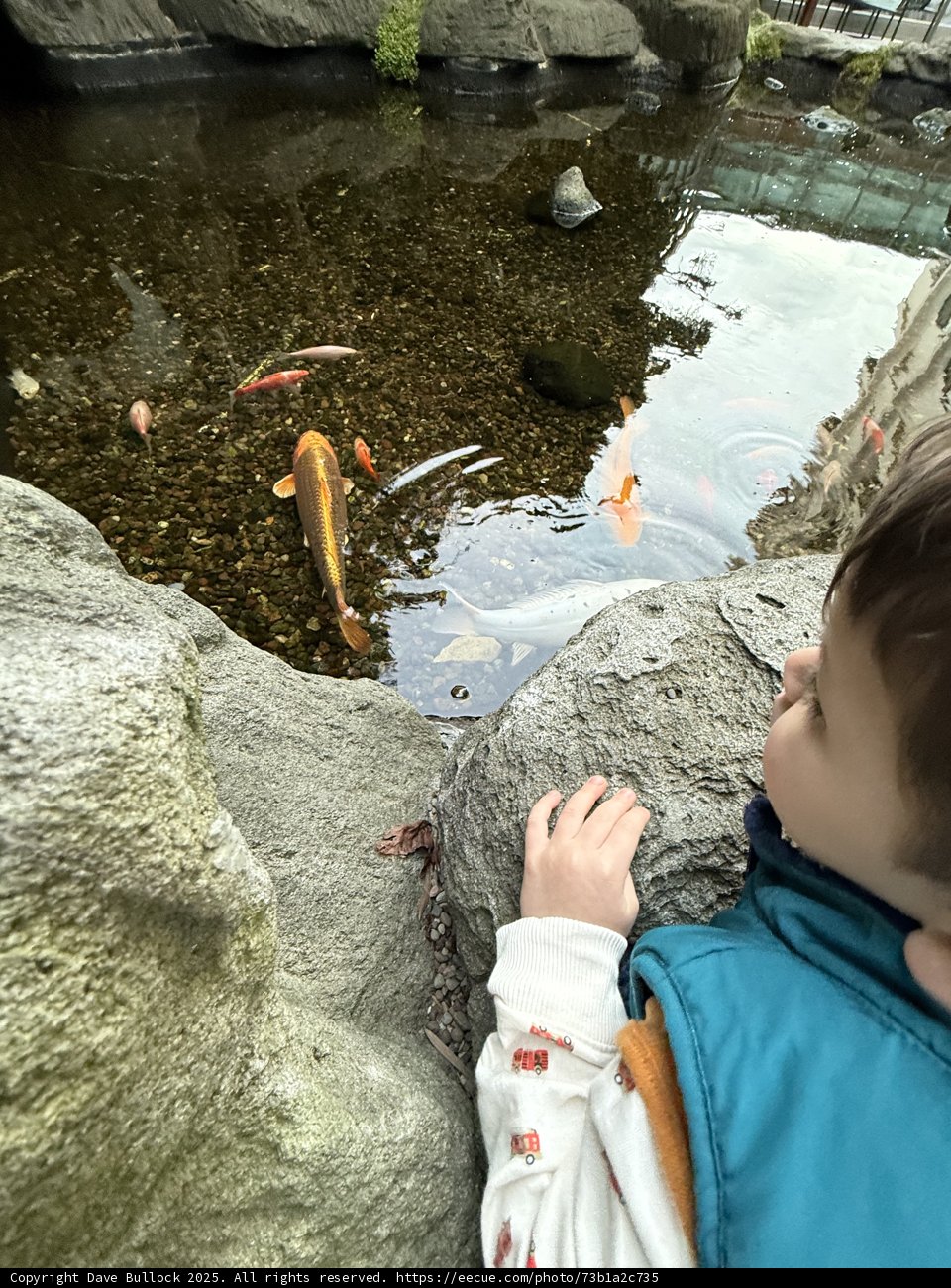 Wonder at the Water's Edge