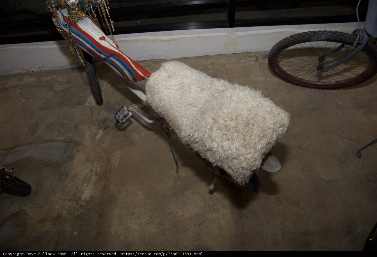 The Sheep Ride