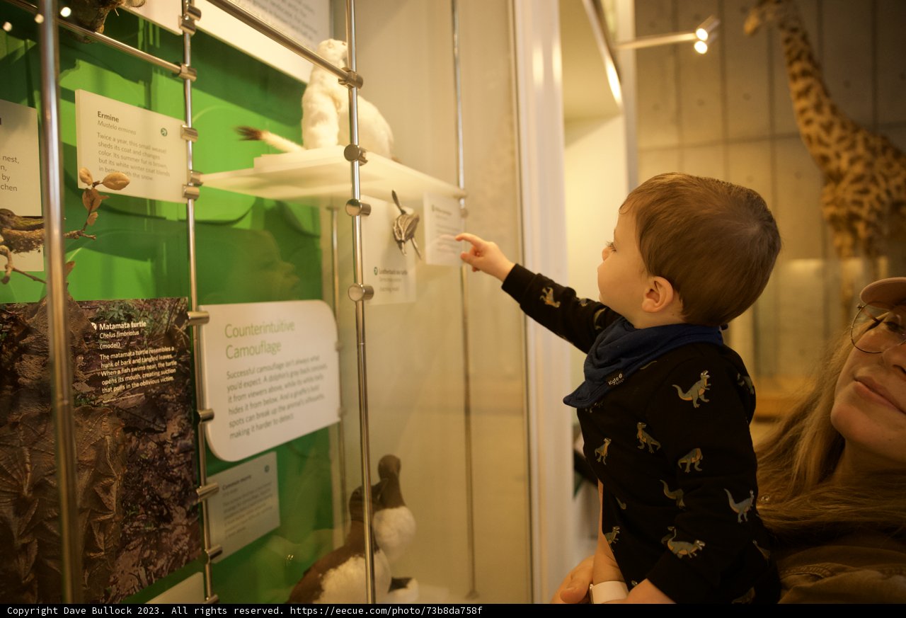 A Day at the Museum: An Engaging Journey with Wesley