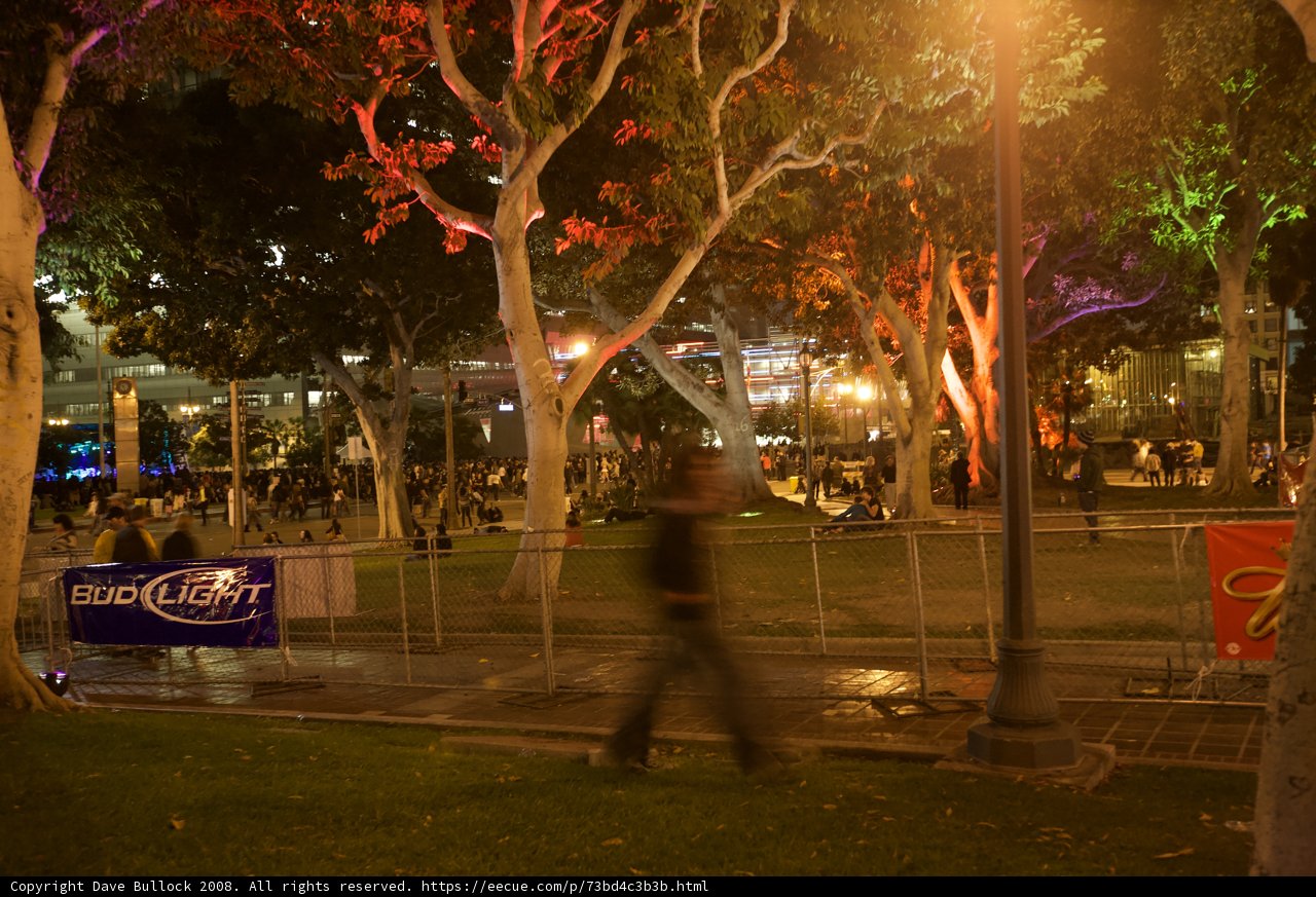 Night Walk