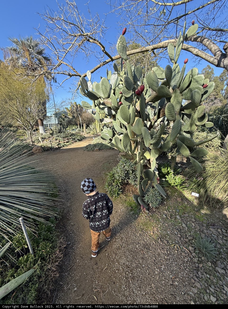 Exploring Nature's Path