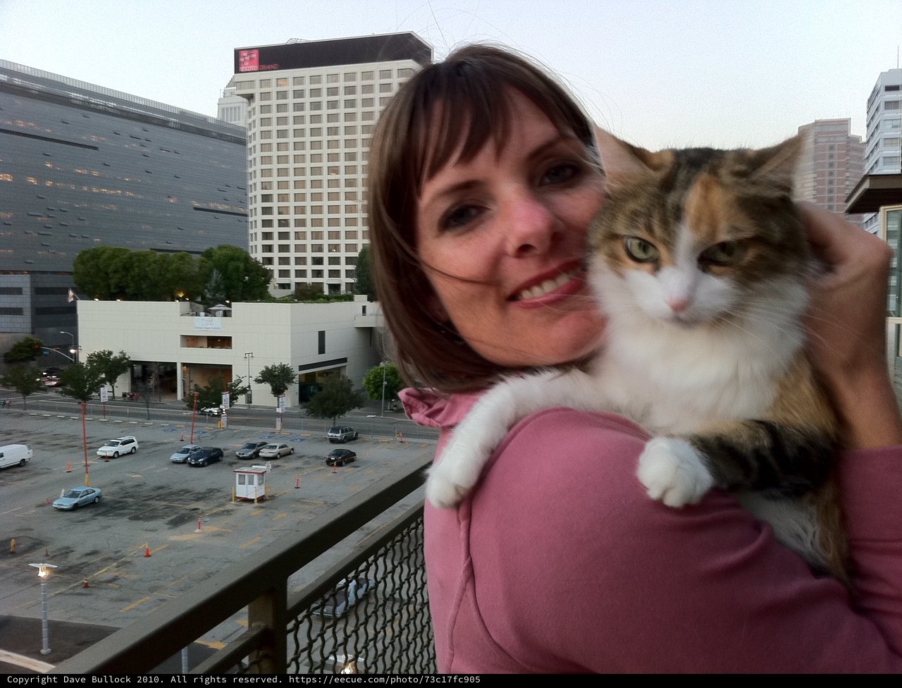 Woman and Calico Cat on Urban Balcony at Dusk