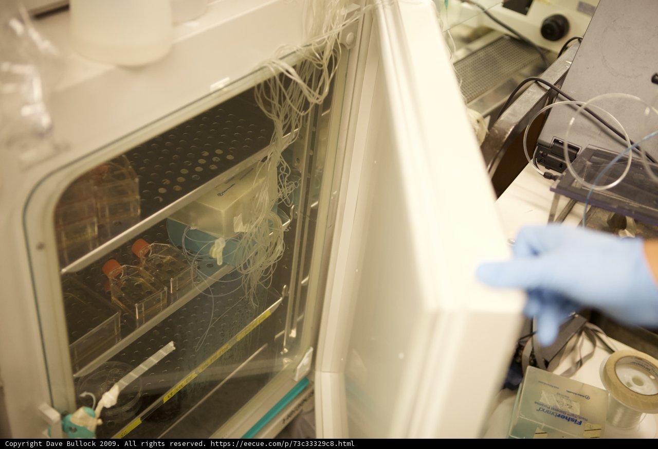 Accessing the Lab