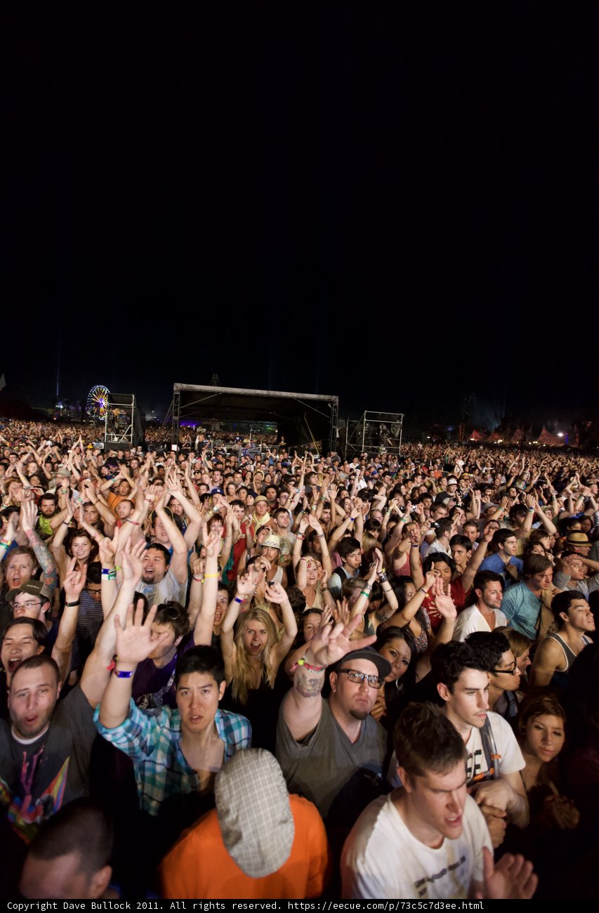 Hands Up in the Night Sky