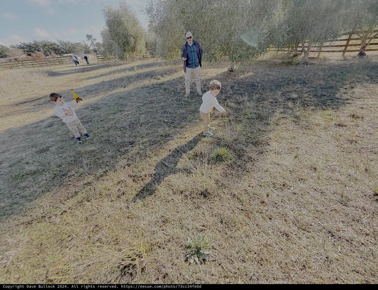 Family Archaeological Site Exploration Adventure