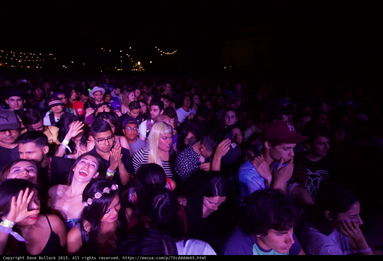 Ecstatic Crowd at Festival
