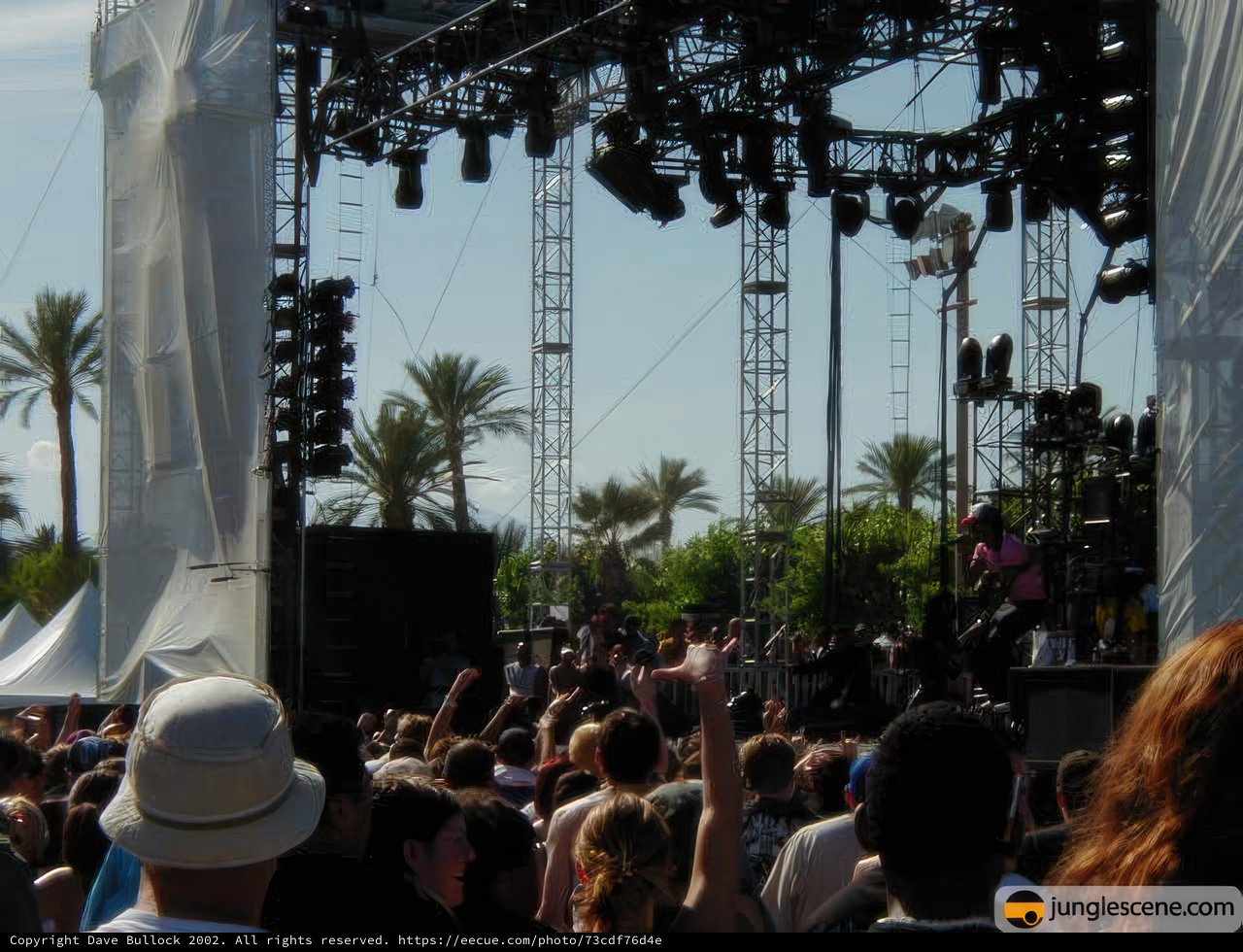 Coachella Crowd Rocks Out Under the California Sun