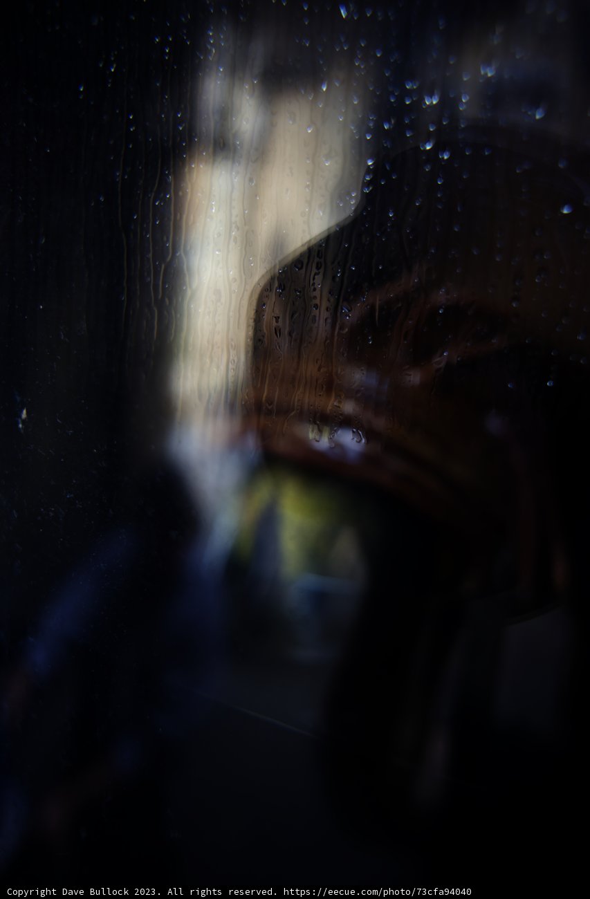 Reflections in Wonderland
