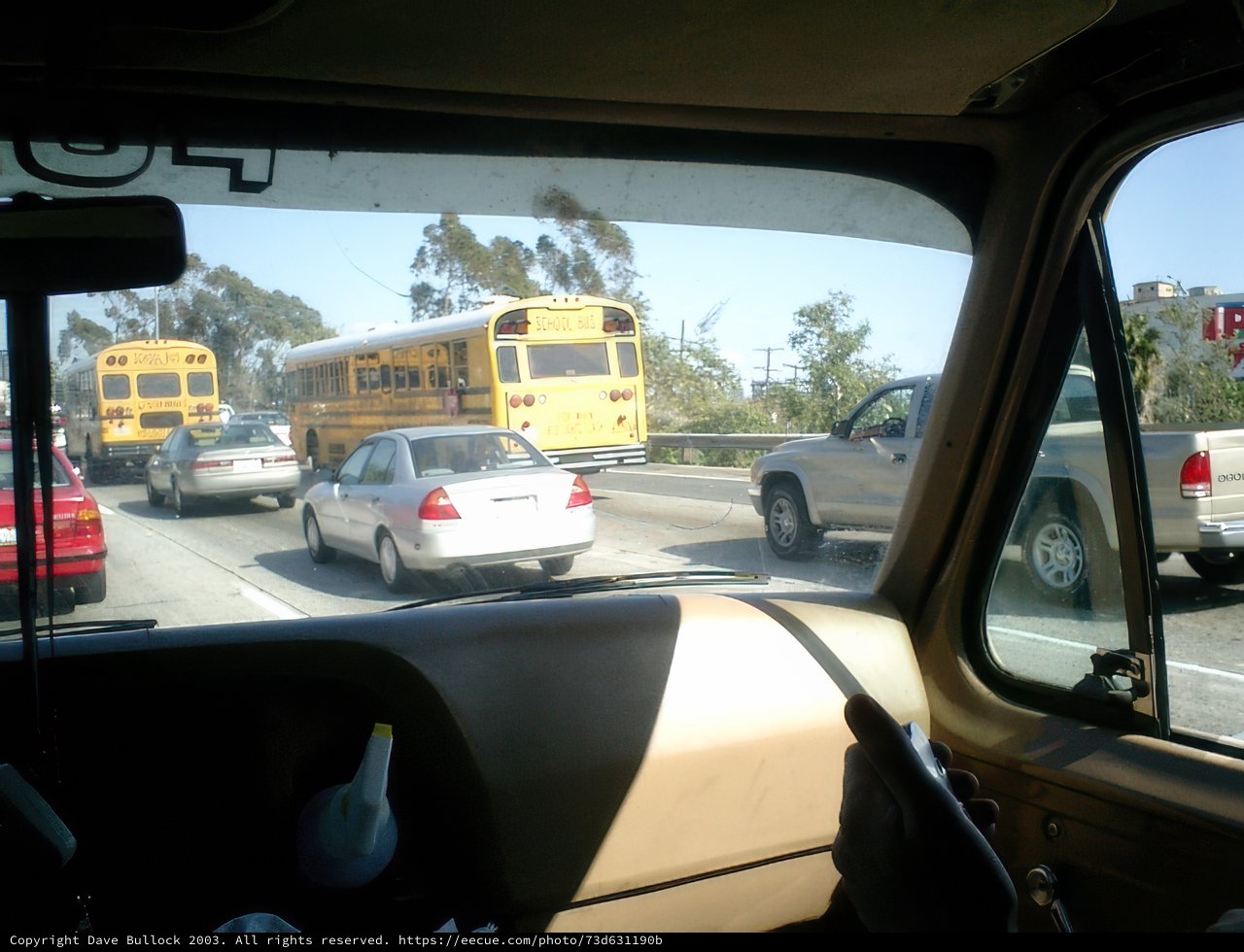 Two School Buses in Coachella Camping Area