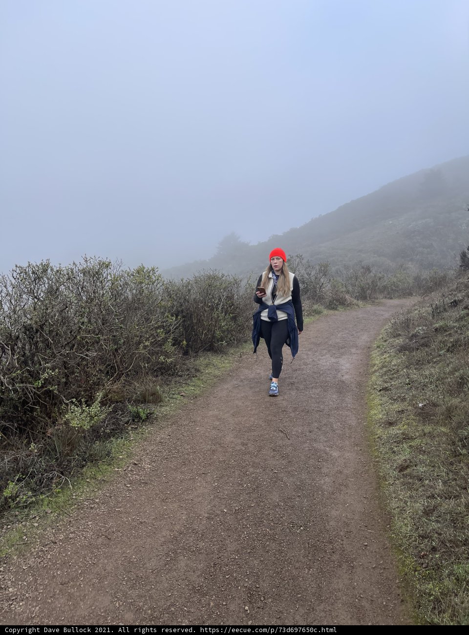 Foggy Trail Adventure