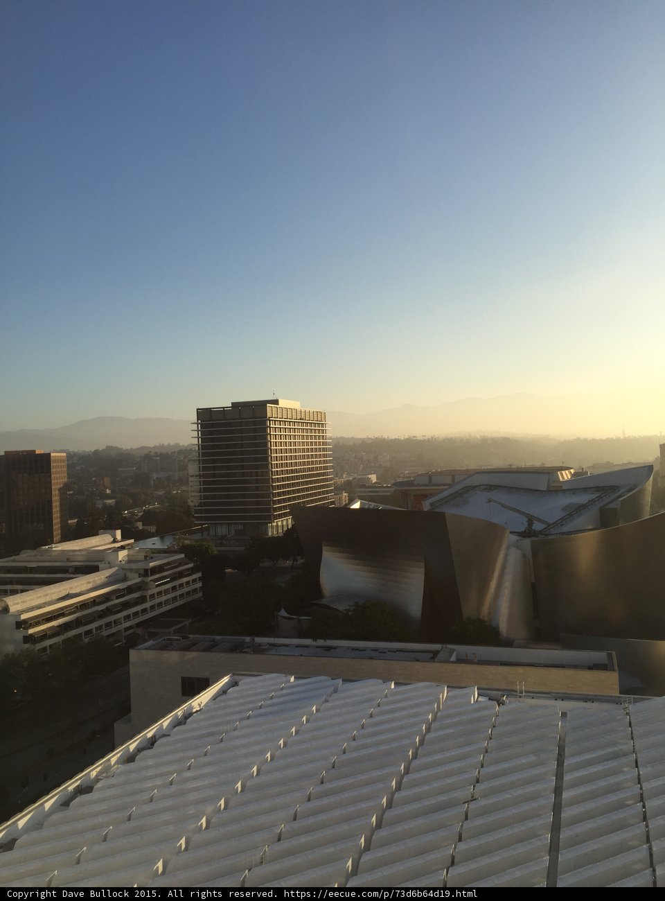 DTLA Rooftop Perspective