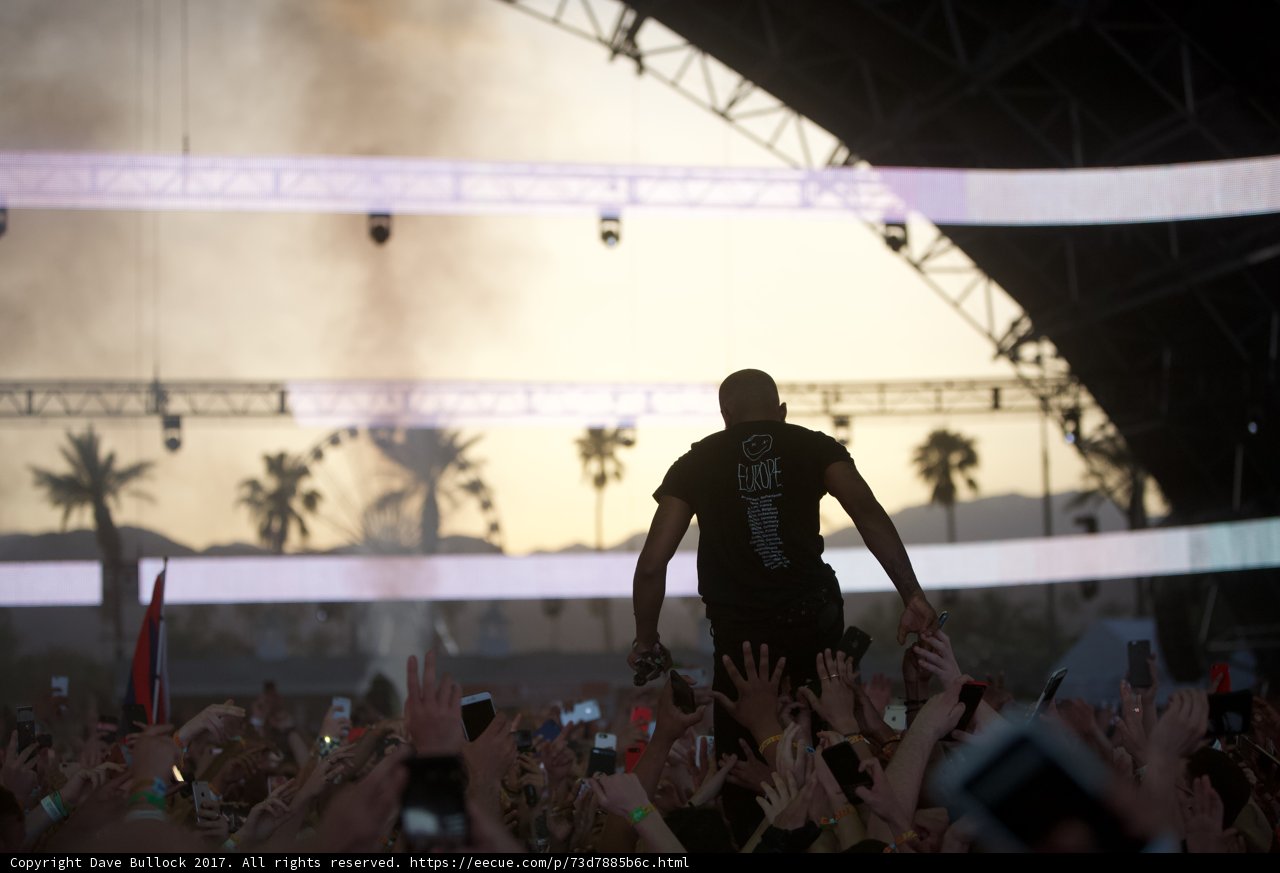 Ecstatic Crowd at Coachella Concert