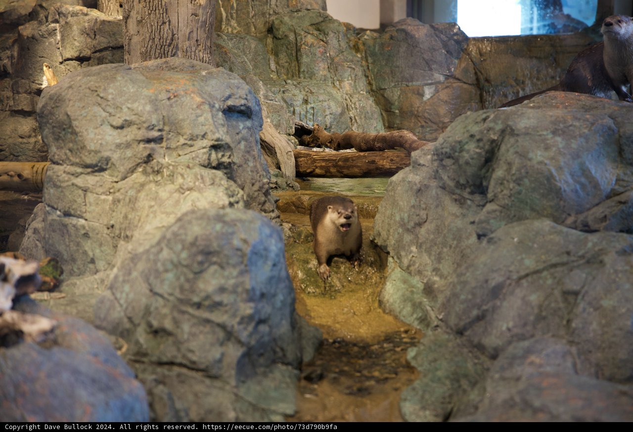 The Sanctuary of Slate and Sea Life