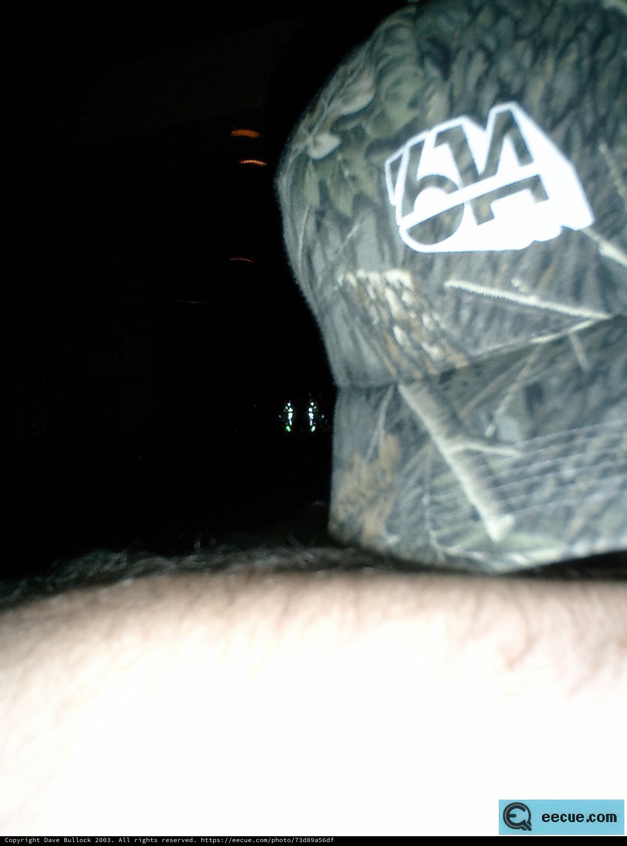 The Arm's Shadow