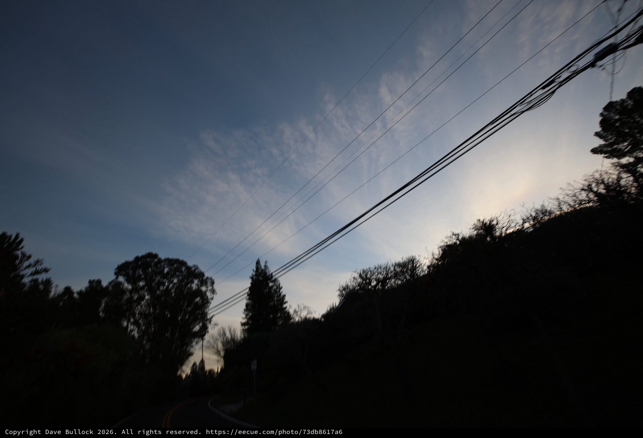 Silhouetted Trees and Power Lines at Twilight