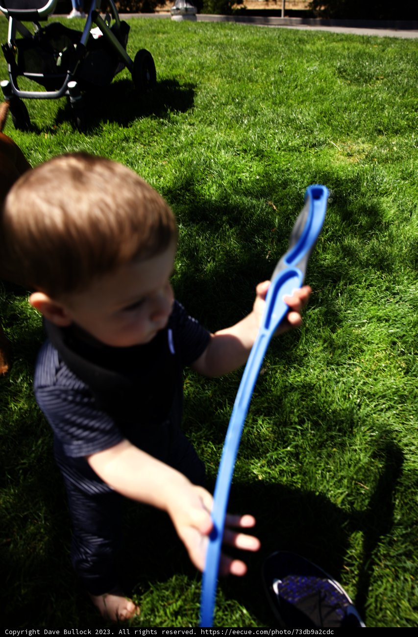 Frolic in the Grass: A Day at Delores Park