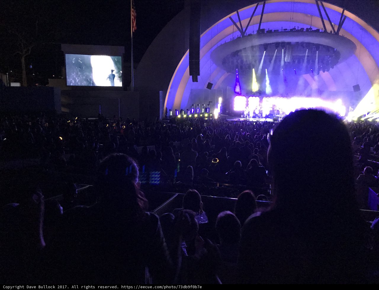 Night Lights and Rock Concert Delights