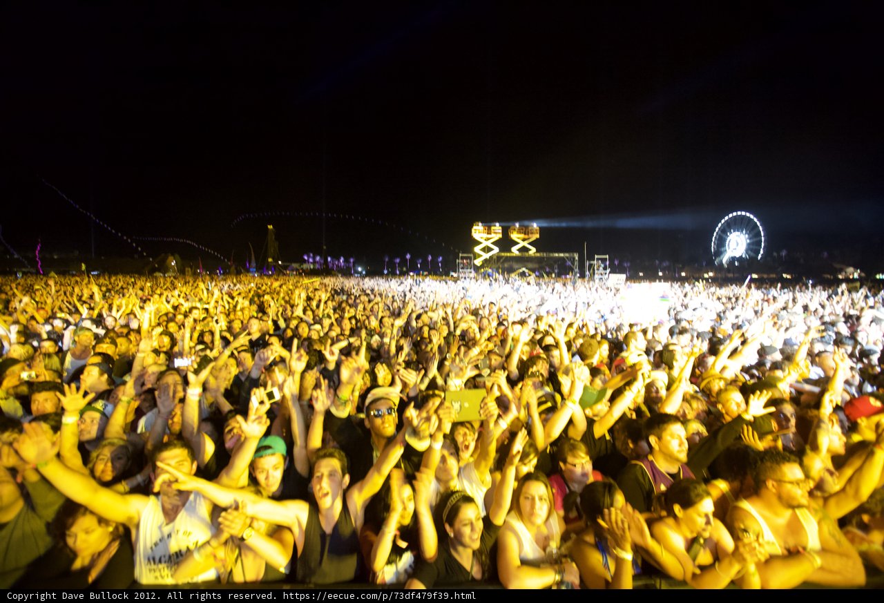 Electrifying Concert Experience
