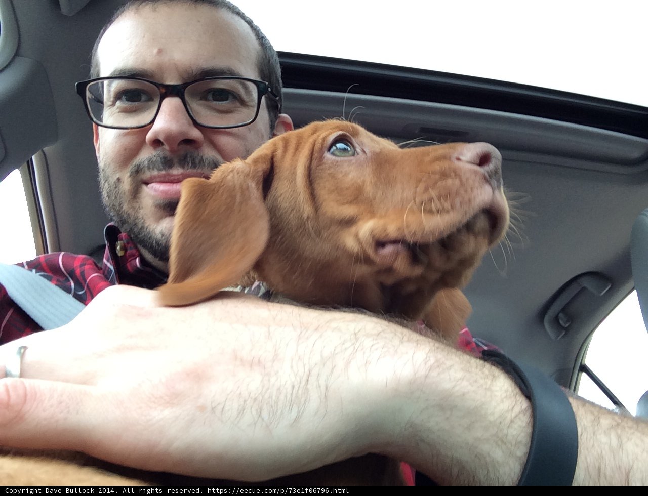 Driving with My Best Friend