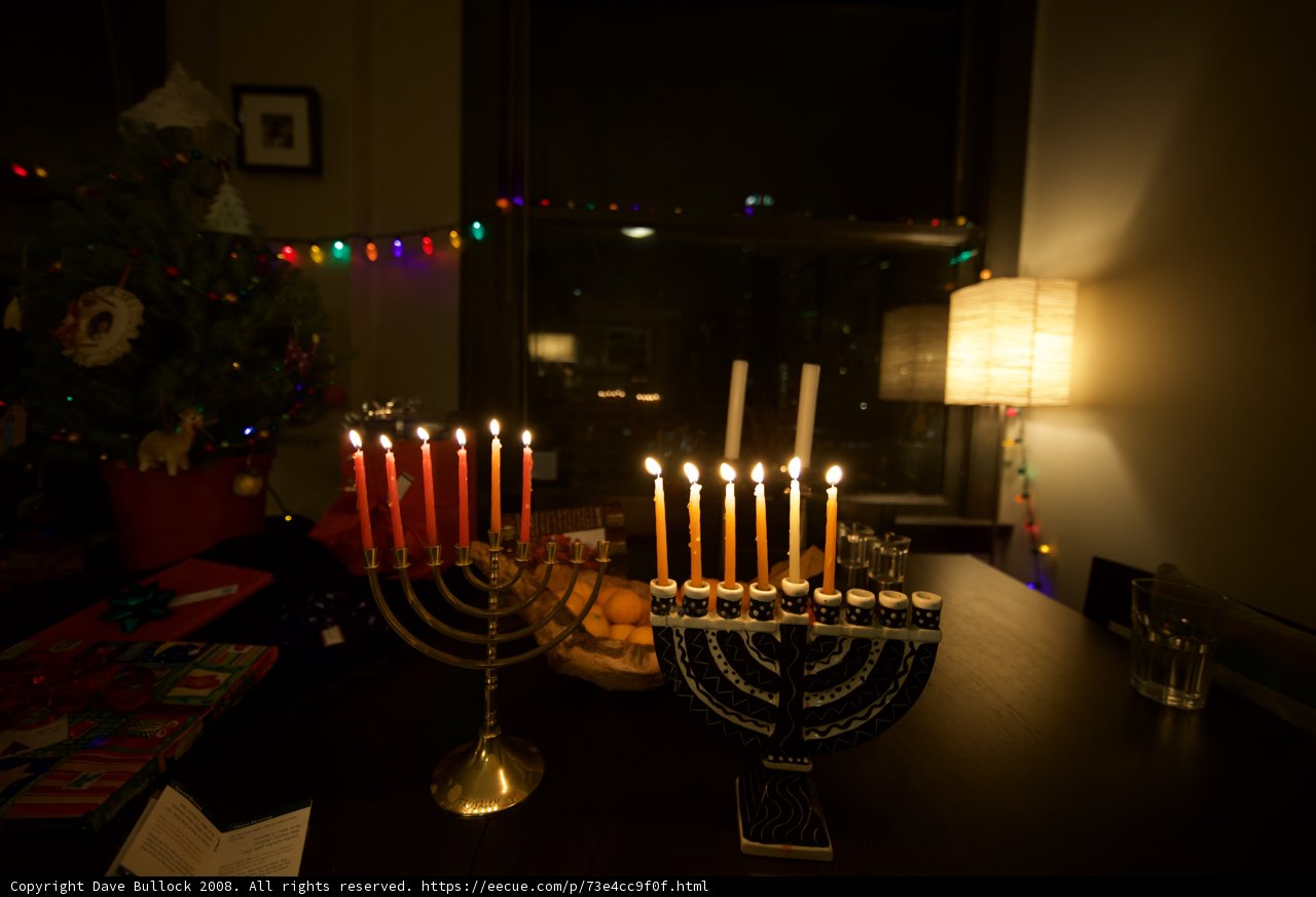 Festive Fusion