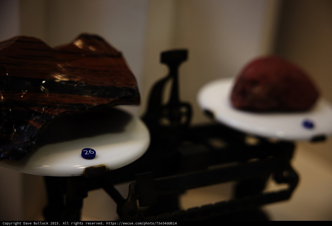 A Delicate Balance: Nature's Art