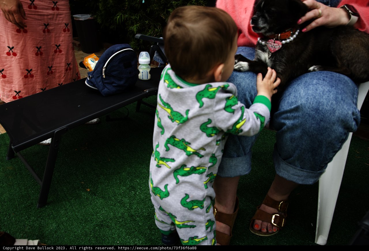 Wesley's Furry Encounter at Cam's Grad Party