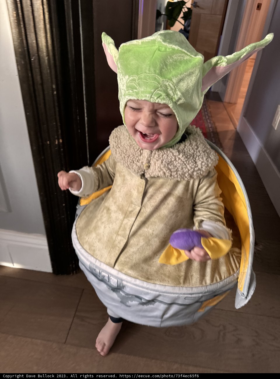 Wesley's Jubilant Halloween
