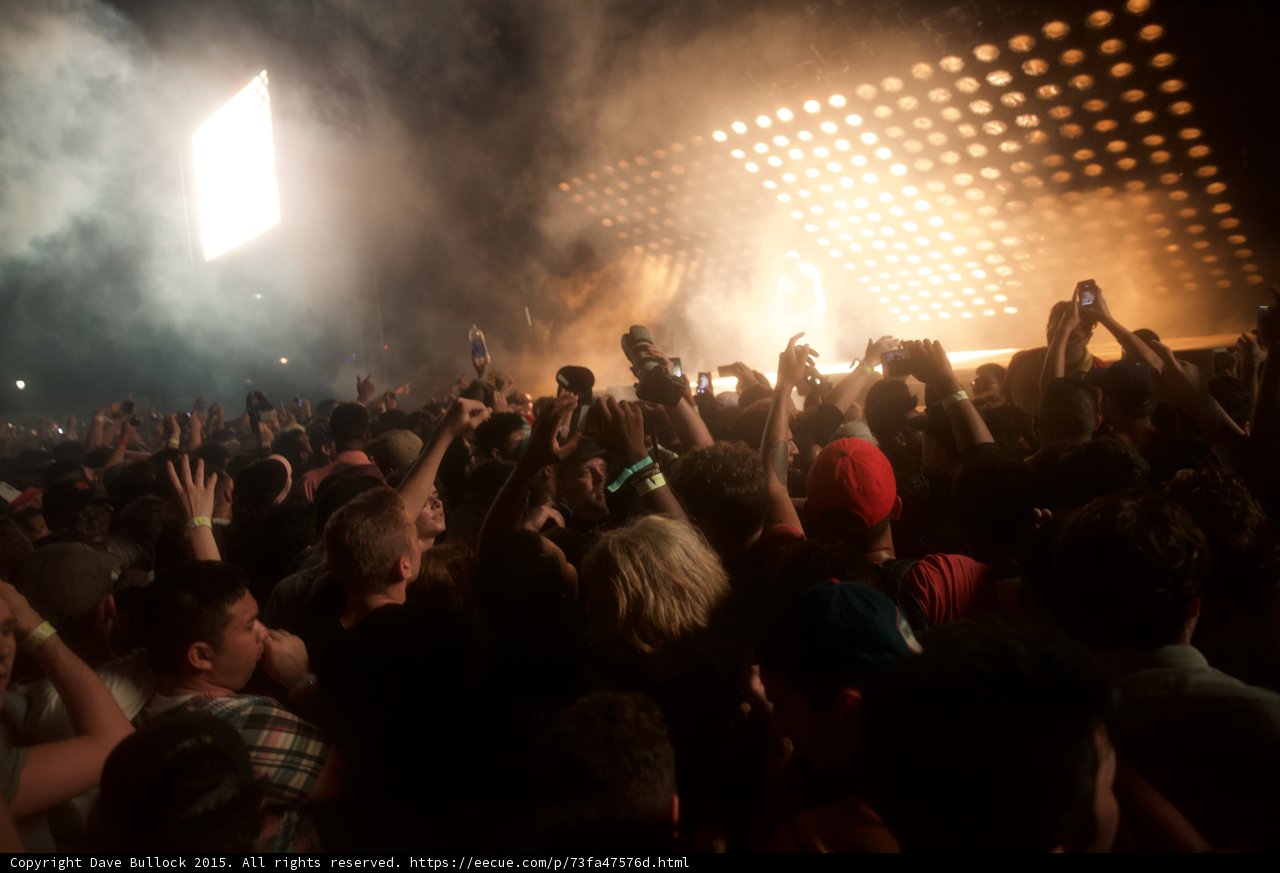 Festival Crowd Atmosphere