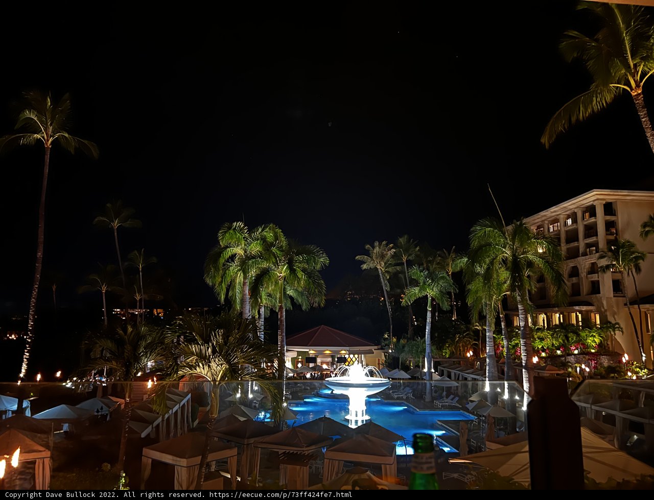 Nighttime Oasis