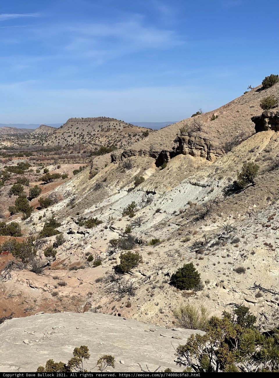 The Vast and Beautiful Desert