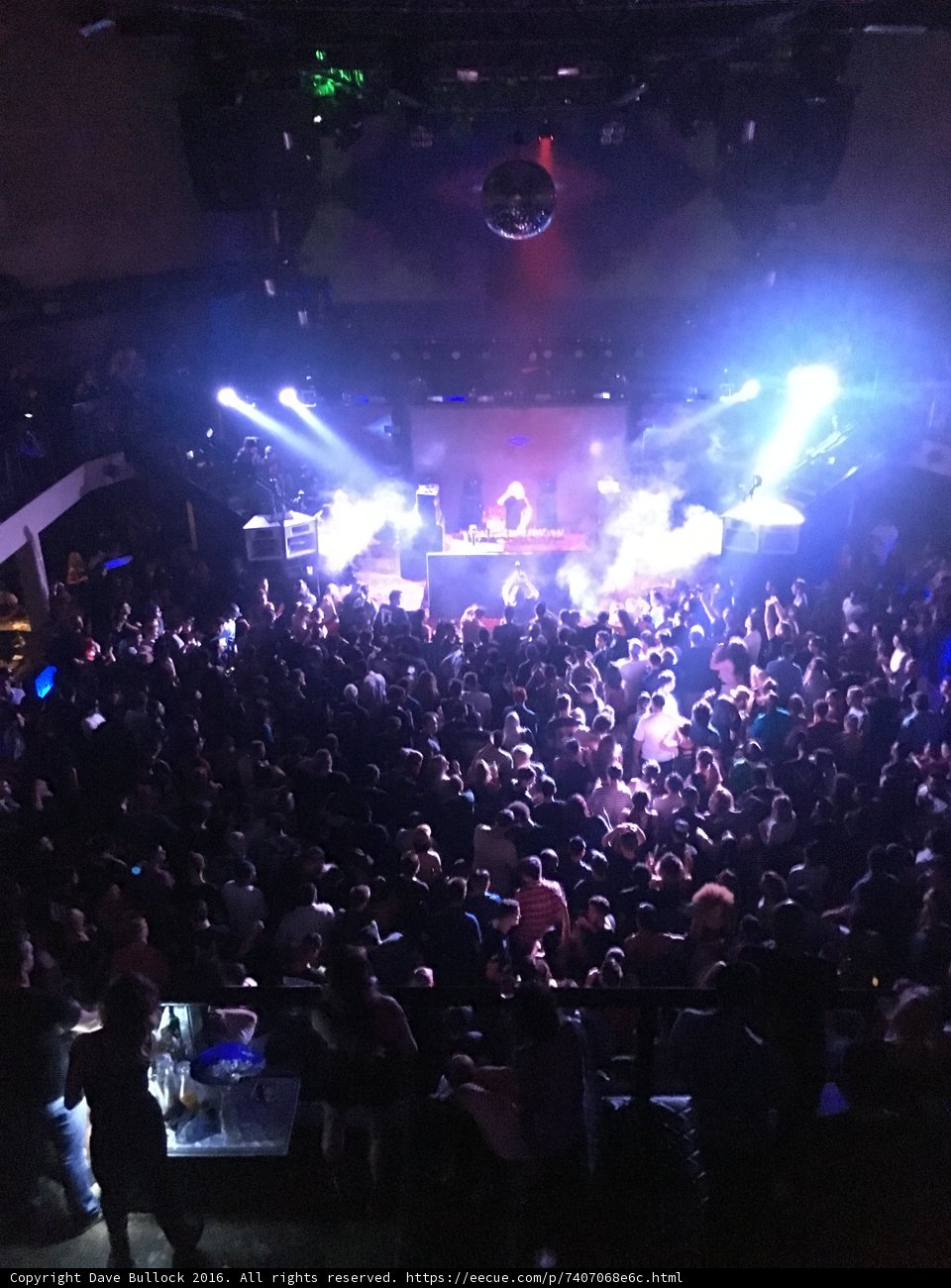 Bright Lights and Big Crowds at an LA Concert