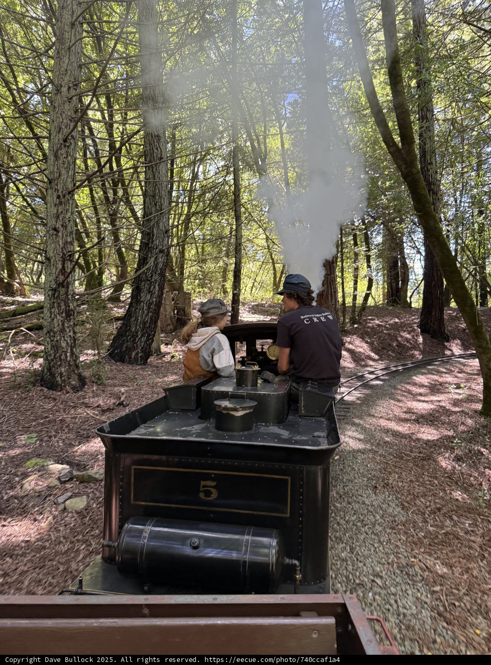 Journey Through the Enchanted Forest