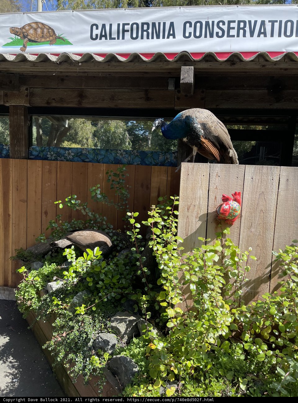 California Conservation Center: A Haven for Potted Plants and Animal Lovers