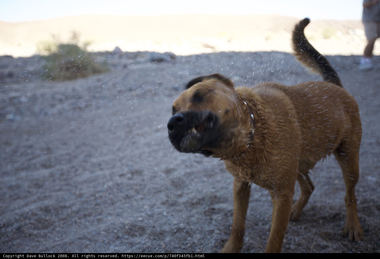 Playtime in the Sand
