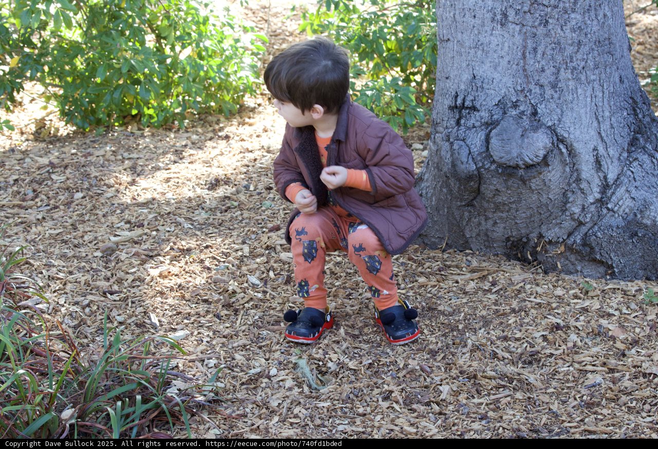 Exploring Nature's Playground