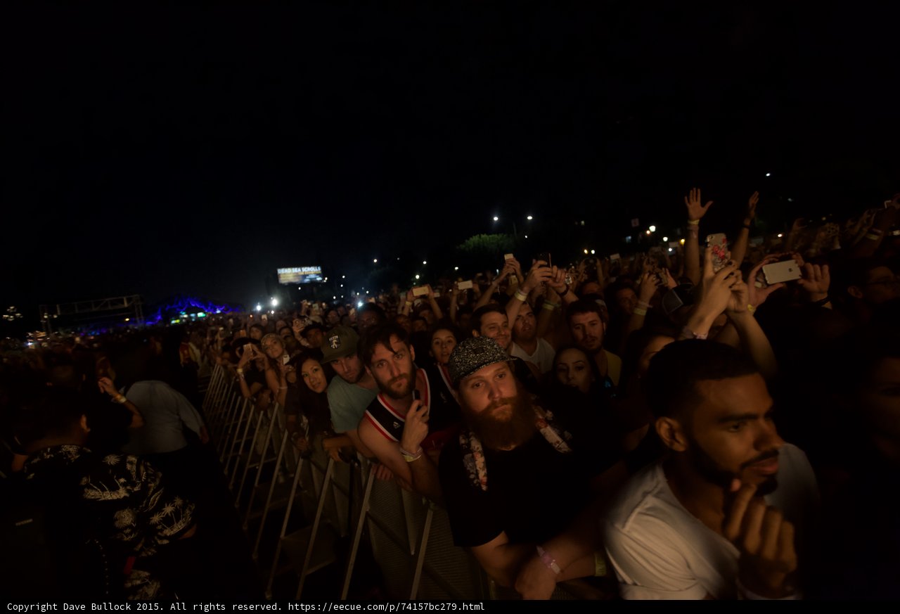 Front Row Festival Crowd