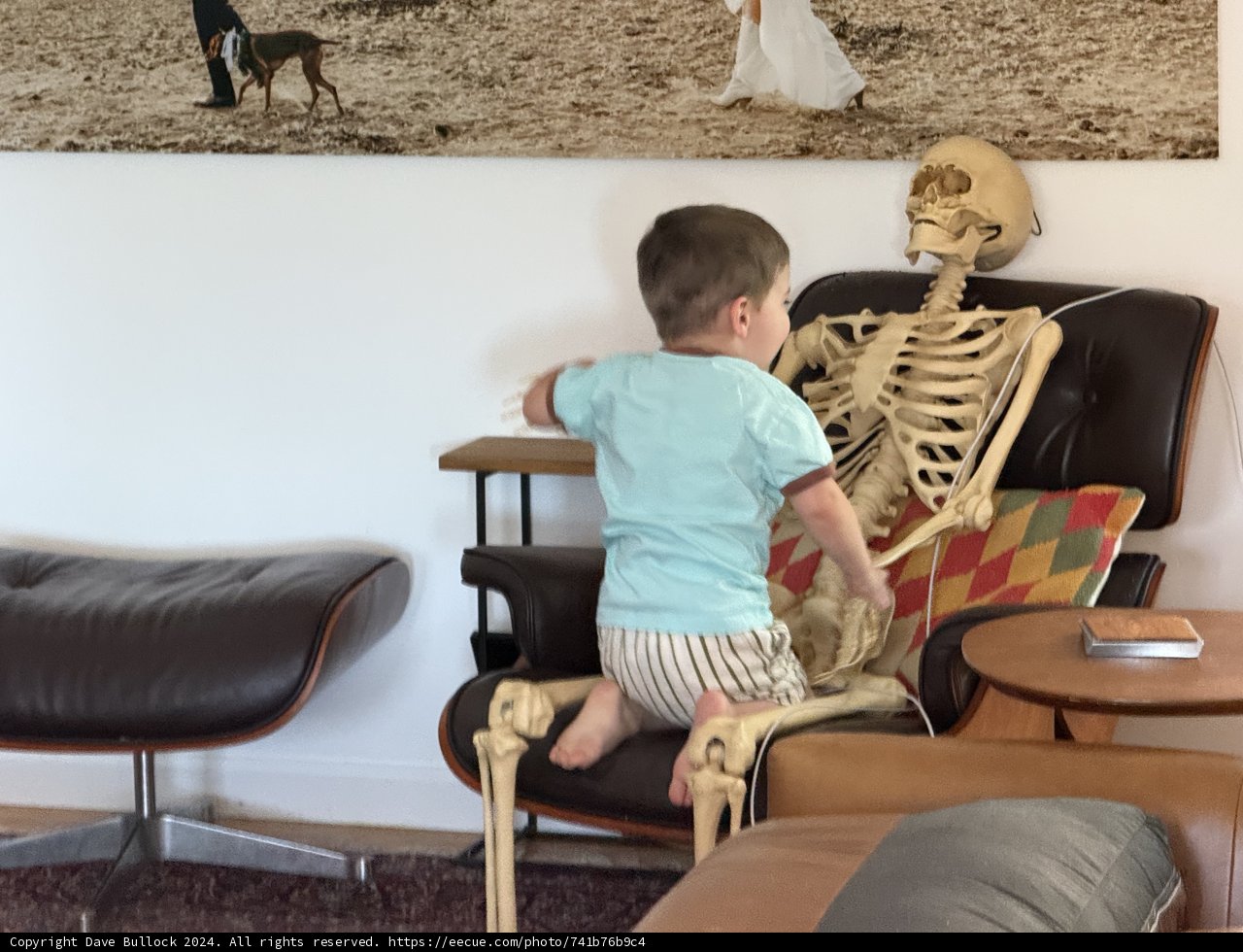 Unexpected Houseguests