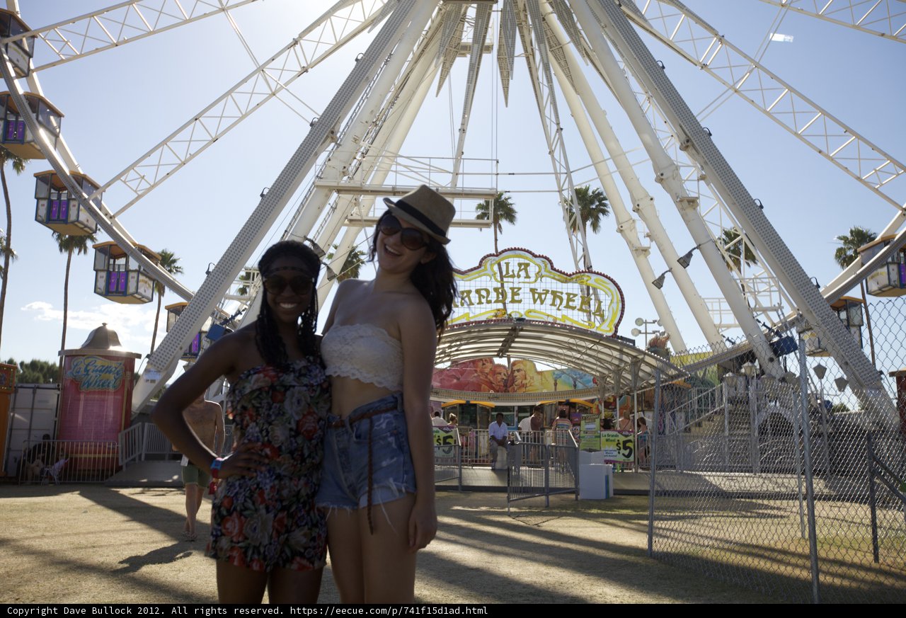 Ferris Wheel Friends